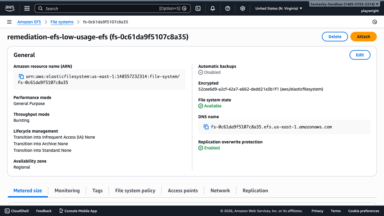 EFS file system detail page showing General configuration