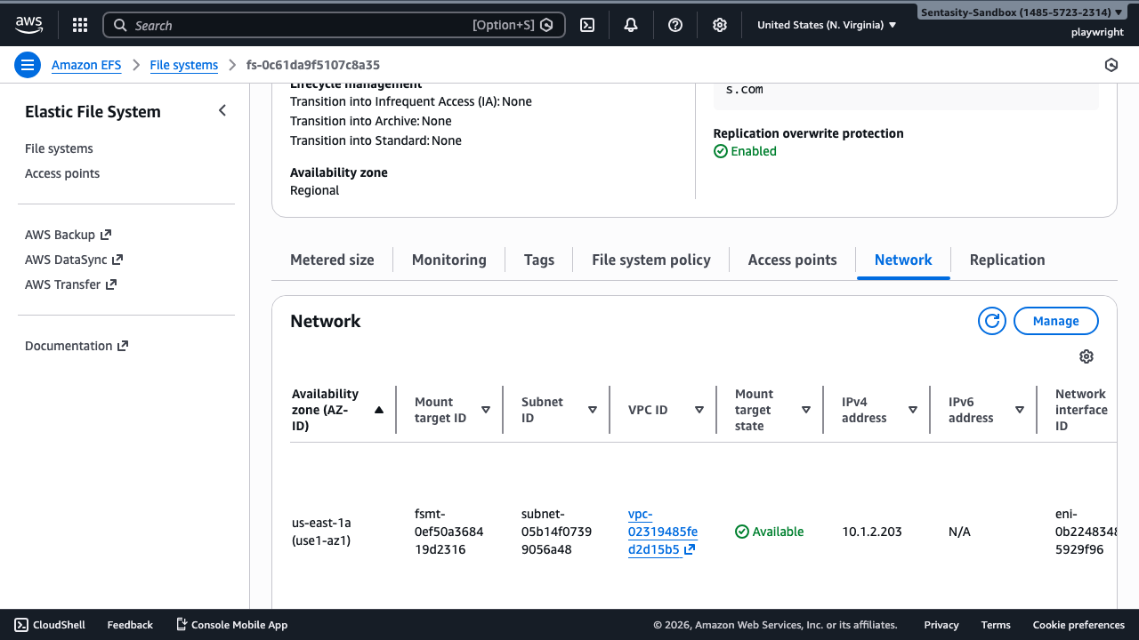 Network tab showing mount targets