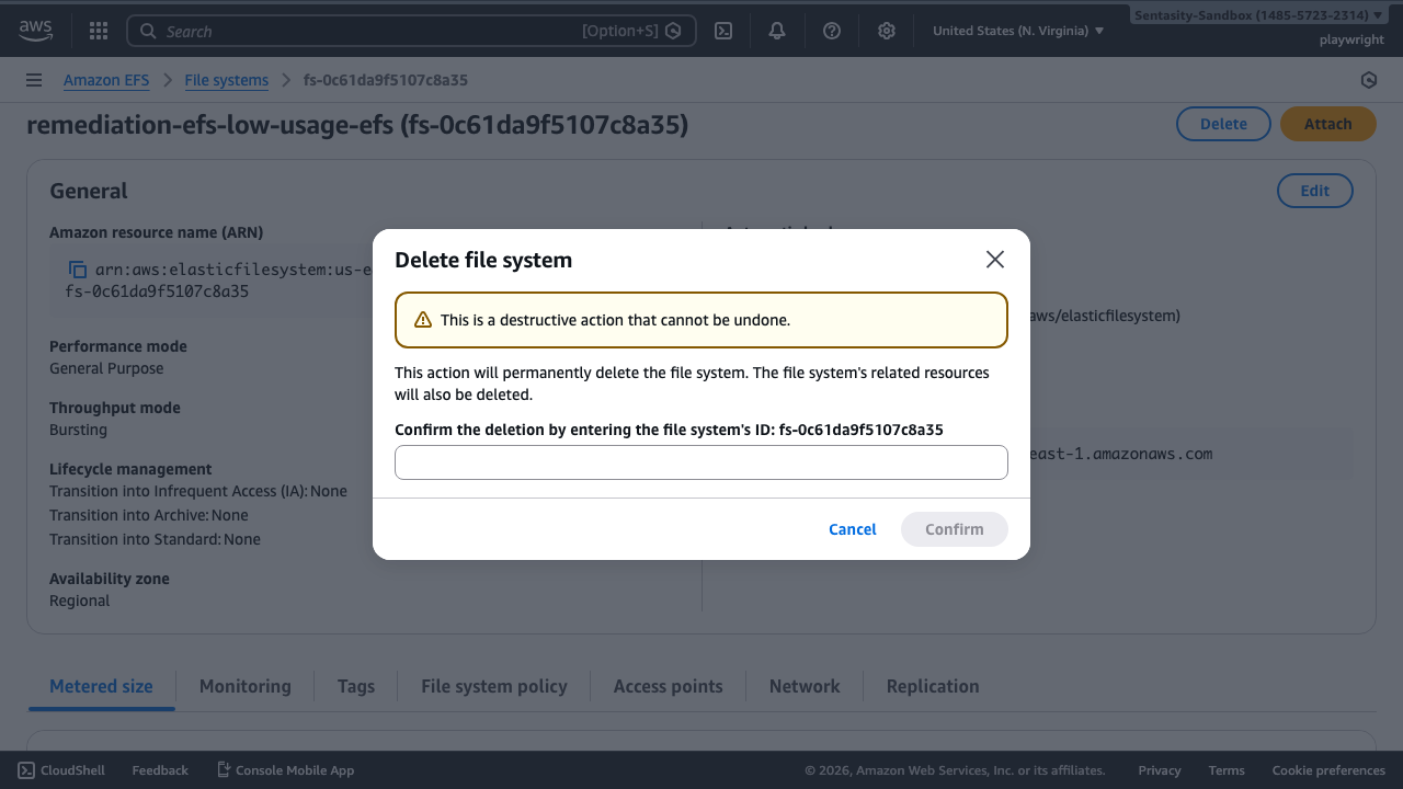 Delete file system confirmation dialog