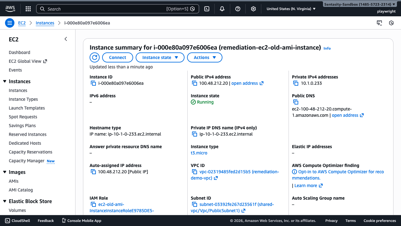 Remediation Planning
