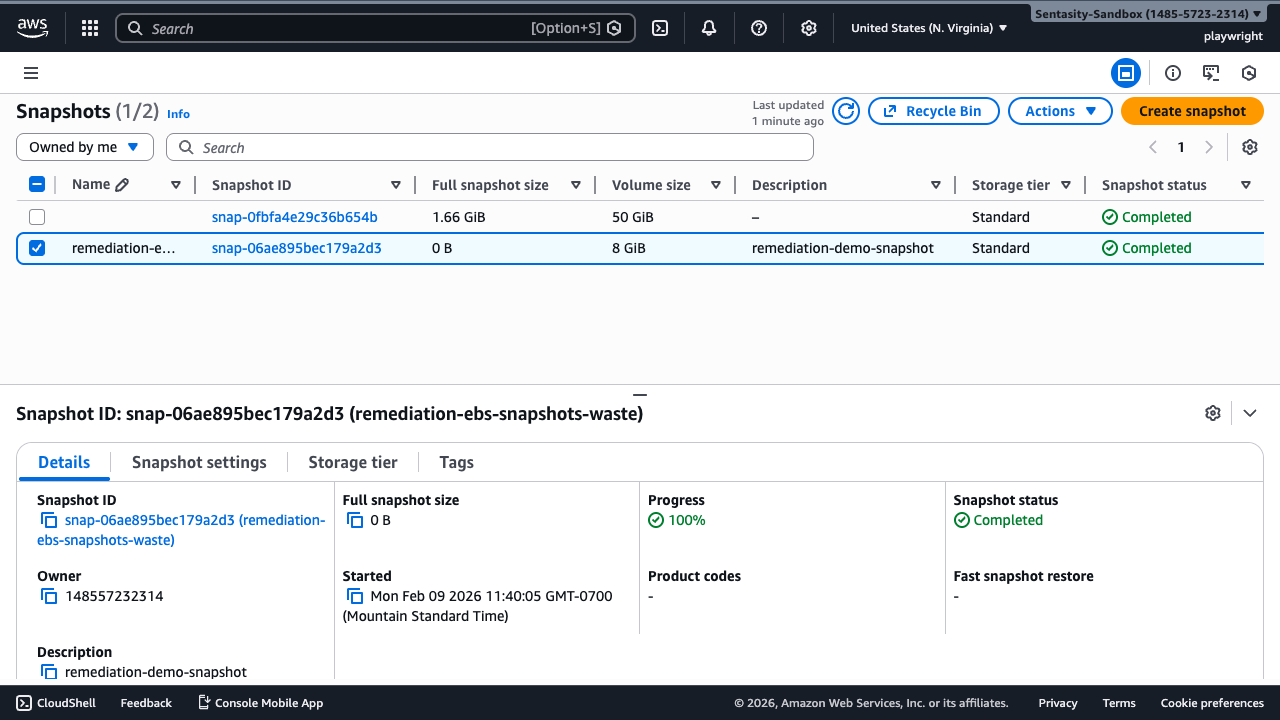 Snapshot selected with details panel showing snapshot information