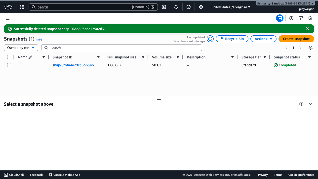 Success notification showing snapshot was deleted